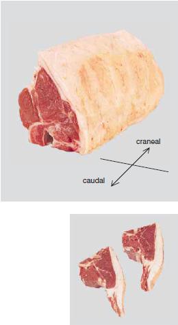 cordero-espinazo-corto-para-exportar