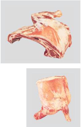 lamb-forequarter-for-export