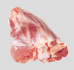 lamb-foreshank-for-export