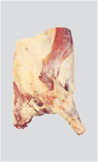 meat-forequarter-bone-in-cuarto-delantero