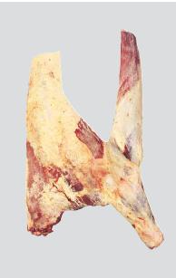 meat-herradura-forequarter-bone-in
