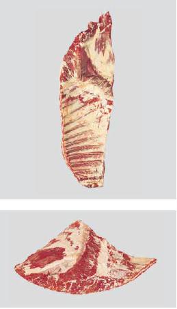 meat-rib-plate-flank-on-bone-in-for-export