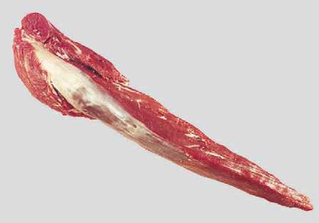 meat-tenderloin-side-strap-off-for-export
